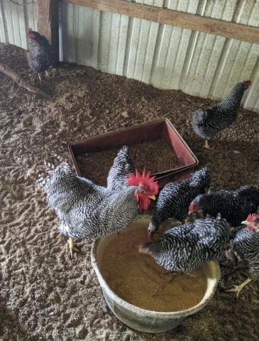 1642 W Inman Road, Nixa, MO 65714