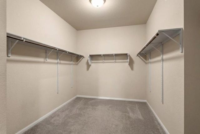 707 Liard River RD, Hutto, TX 78634