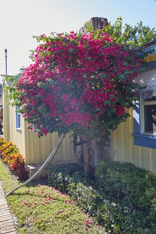 611 S Palmway, Lake Worth Beach, FL 33460