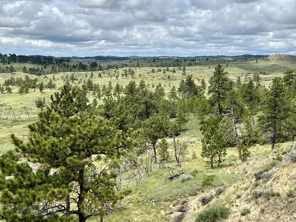 NHN Hillside Dr, Miles City, MT 59301 photo 10