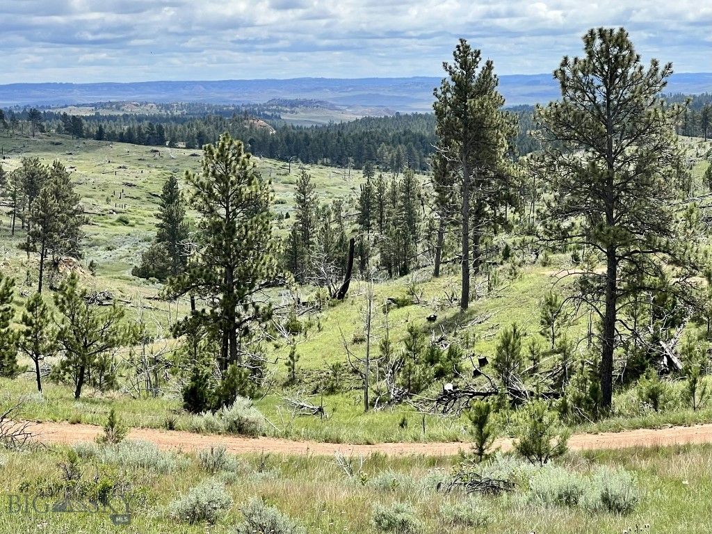 NHN Hillside Dr, Miles City, MT 59301 photo 16