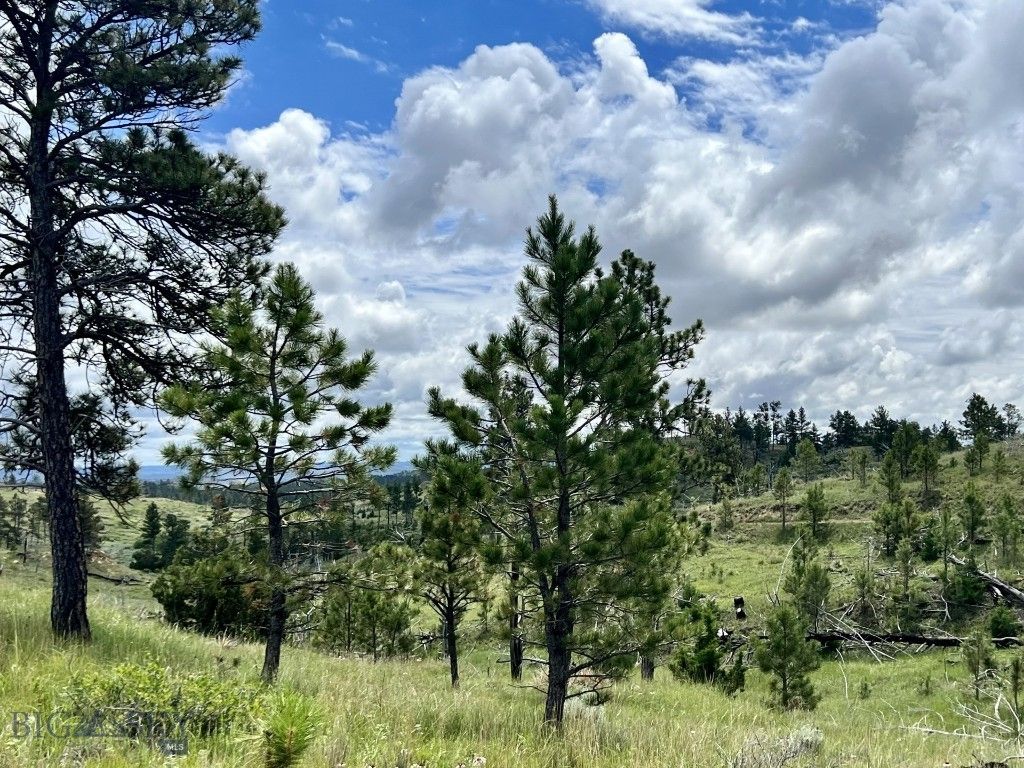 NHN Hillside Dr, Miles City, MT 59301 photo 2