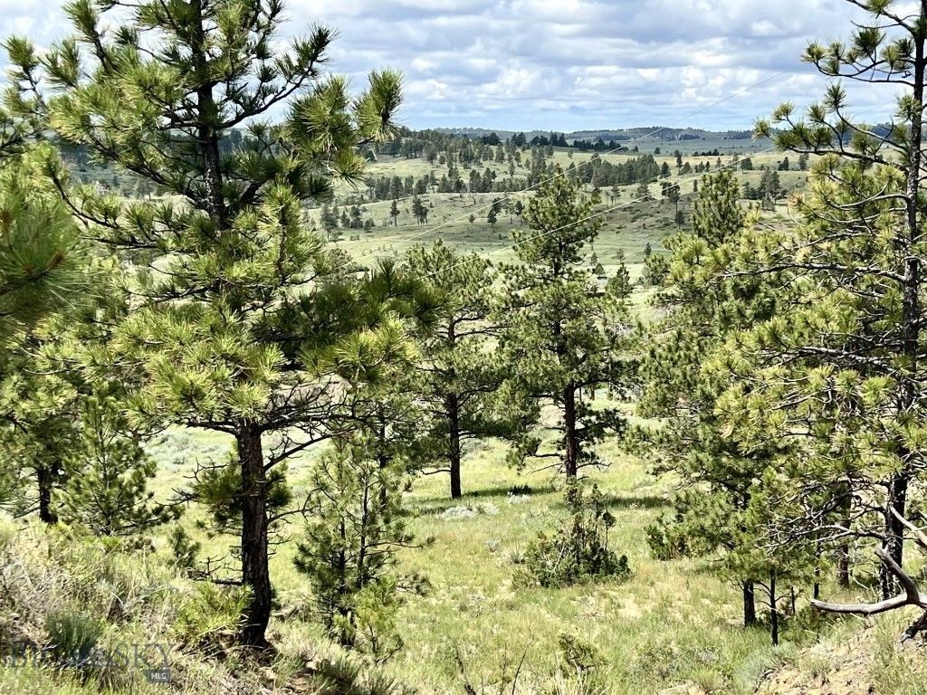 NHN Hillside Dr, Miles City, MT 59301 photo 22