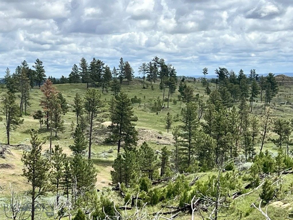 NHN Hillside Dr, Miles City, MT 59301 photo 8