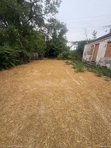 13924 Lumpkin Street, Hamtramck, MI 48212