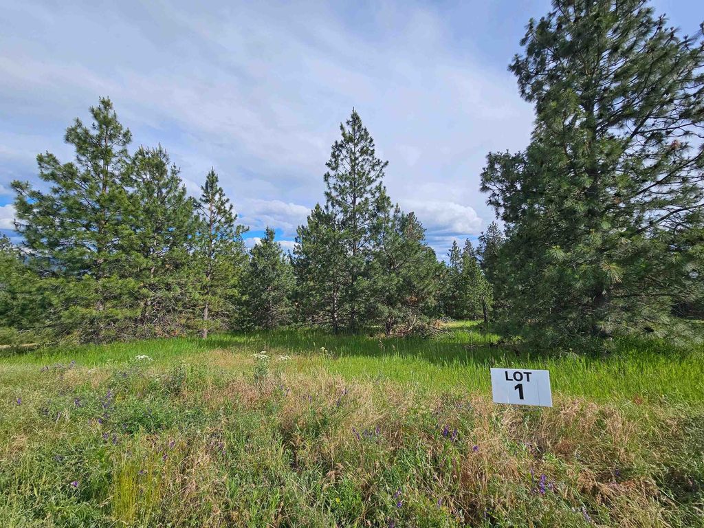 NNA S Sands Rd Rd, Valleyford, WA 99036 photo 5