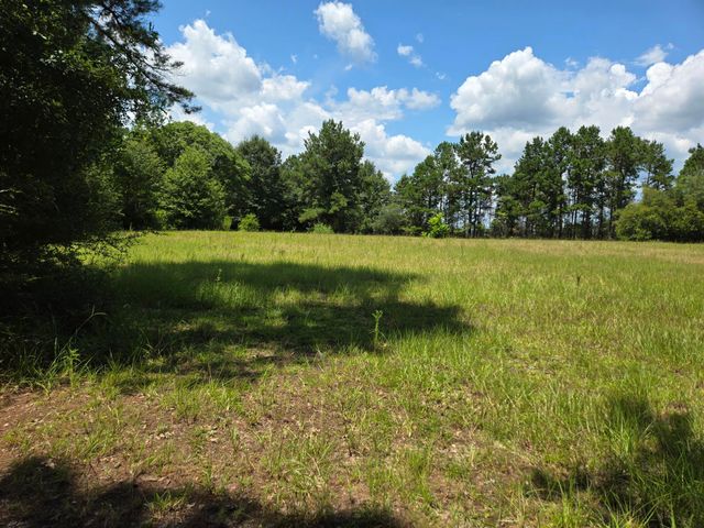 93 Ward Rd., Kokomo, MS 39643