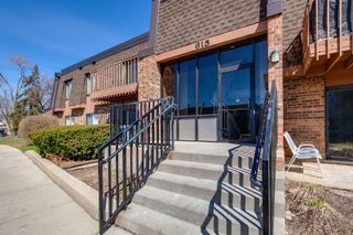 615 Tralee Court 1C, Schaumburg, IL 60193