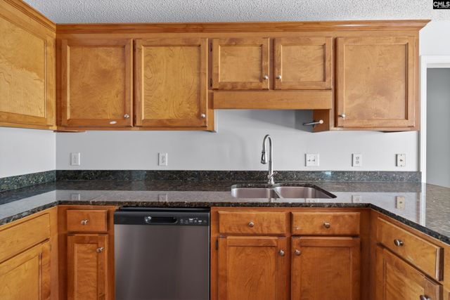 219 Plantation POinte Drive, Elgin, SC 29045