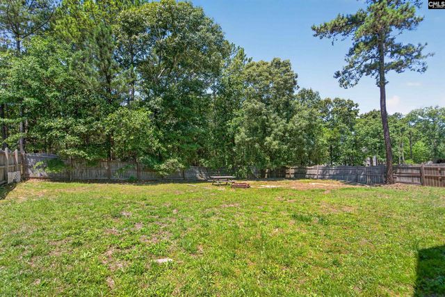 219 Plantation POinte Drive, Elgin, SC 29045