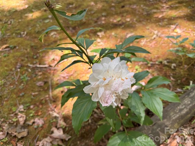 121 Shady Lane, Troutman, NC 28166