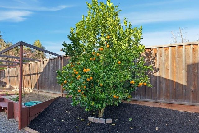 5251 5251 Peony Dr, Livermore, CA 94551