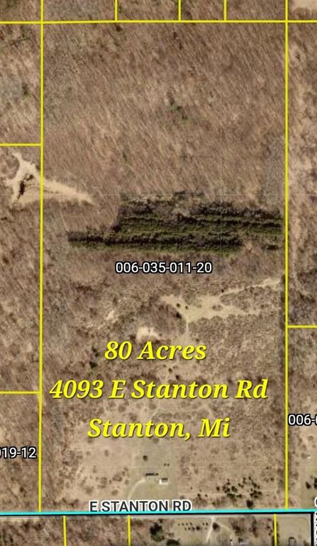 4093 E Stanton Road, Stanton, MI 48888