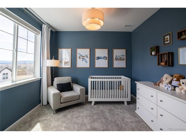 664 Simmental Loop, Castle Rock, CO 80104