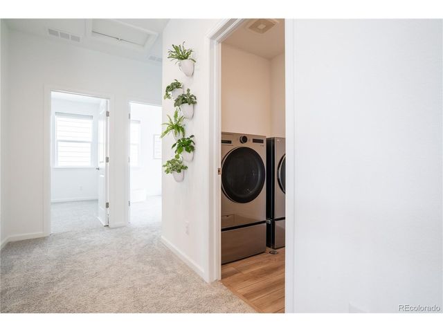 664 Simmental Loop, Castle Rock, CO 80104