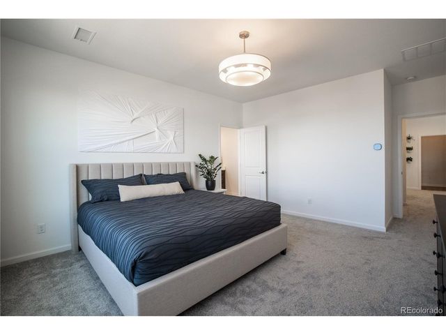 664 Simmental Loop, Castle Rock, CO 80104