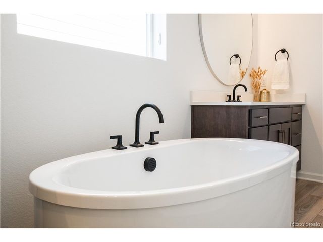 664 Simmental Loop, Castle Rock, CO 80104