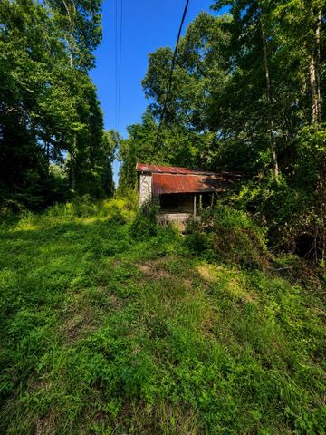 47 Phelps Creek Drive, Huntsville, TX 77340