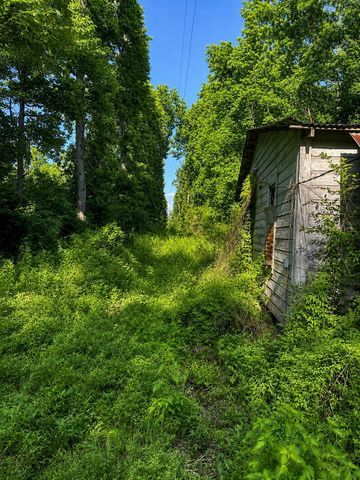 47 Phelps Creek Drive, Huntsville, TX 77340