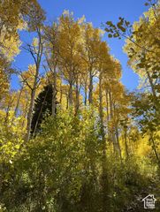 4410 Fawn Way 2038, Heber City, UT 84032