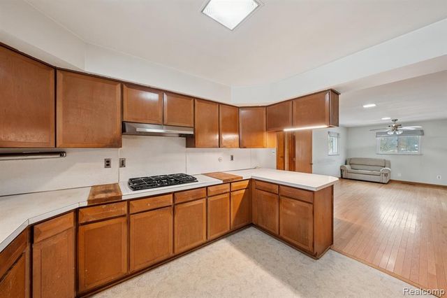 21697 Mcclung Avenue, Southfield, MI 48075