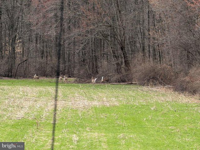 210 ALLEGHENYVILLE RD, Mohnton, PA 19540