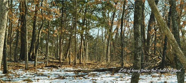 25266 H Highway, Lincoln, MO 65338