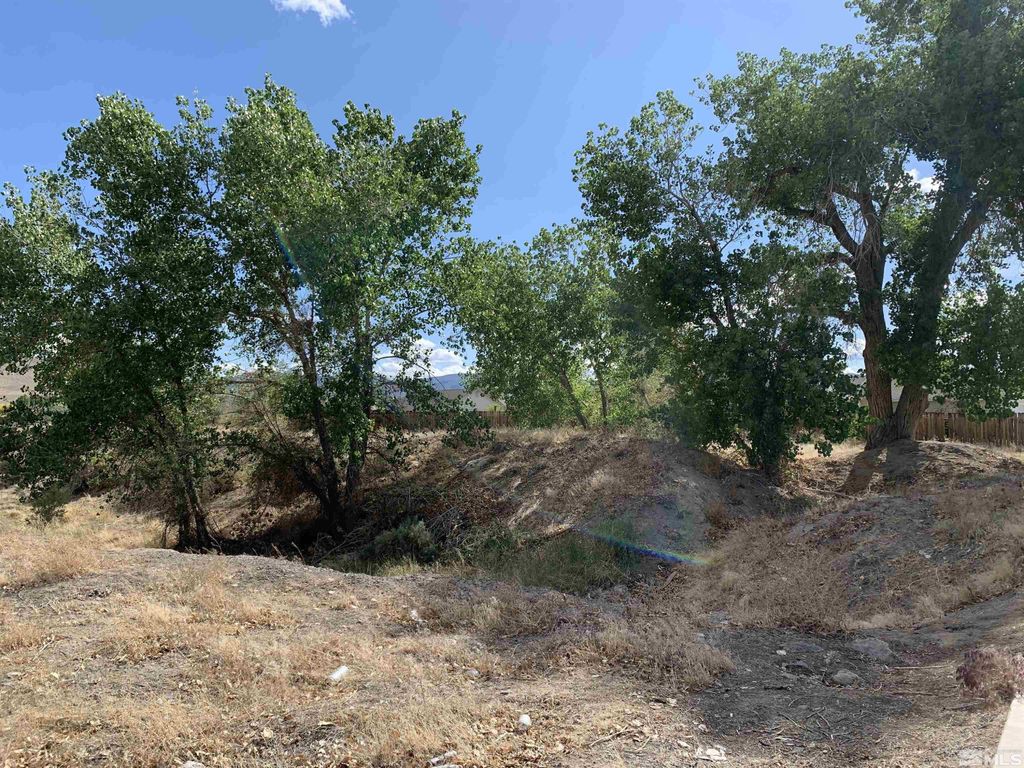 Image 5 of property listing at 698 Jenny's Lane, Fernley, NV 89408