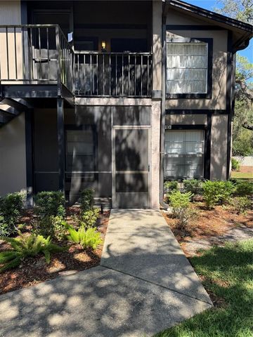 4033 DREAM OAK PLACE 101, Tampa, FL 33613