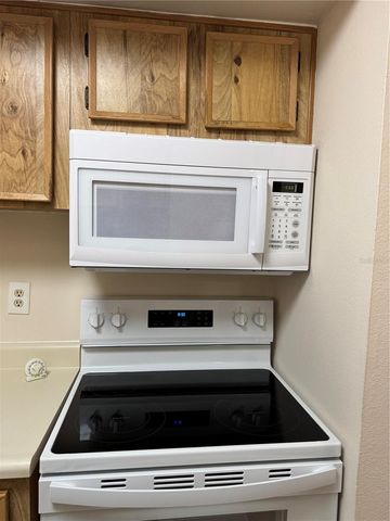 4033 DREAM OAK PLACE 101, Tampa, FL 33613