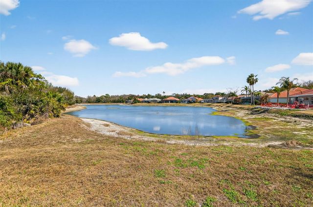 10228 ESTUARY DRIVE, Tampa, FL 33647