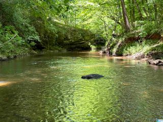 1165 COUNTY ROAD 874, Wadley, AL 36276