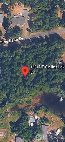 1221 NE Collins Lake Drive, Tahuya, WA 98588
