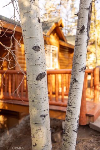 43300 Deer Canyon, Big Bear Lake, CA 92315