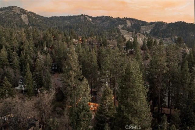 43300 Deer Canyon, Big Bear Lake, CA 92315
