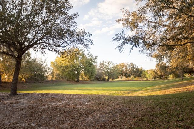 20801 QUEEN ALEXANDRA DRIVE, Leesburg, FL 34748