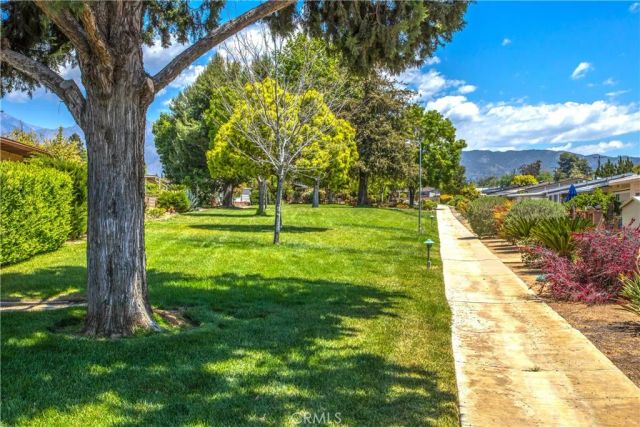 34350 Cedar Avenue, Yucaipa, CA 92399