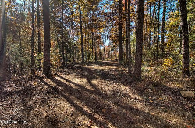 4903 Long Rifle Rd, Walland, TN 37886