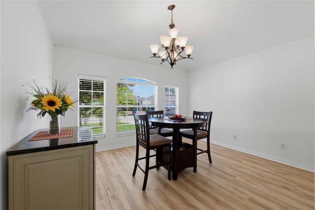 19406 SUNSET BAY DRIVE, Land O Lakes, FL 34638