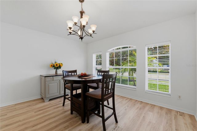 19406 SUNSET BAY DRIVE, Land O Lakes, FL 34638