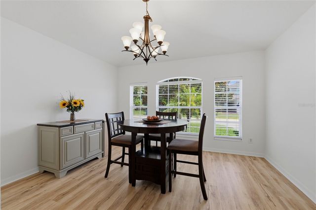 19406 SUNSET BAY DRIVE, Land O Lakes, FL 34638