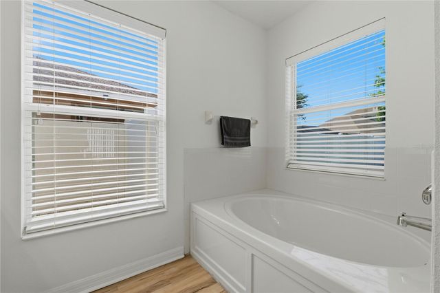 19406 SUNSET BAY DRIVE, Land O Lakes, FL 34638