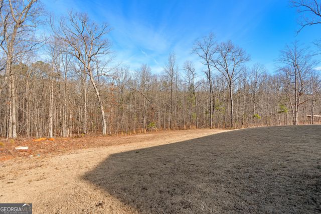 821 Hunter Welch Parkway, Luthersville, GA 30251