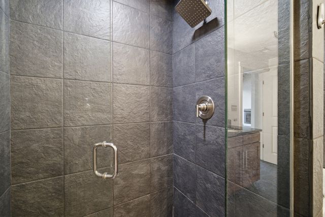 1610 S Halsted Street 408, Chicago, IL 60608