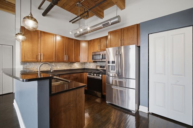 1610 S Halsted Street 408, Chicago, IL 60608