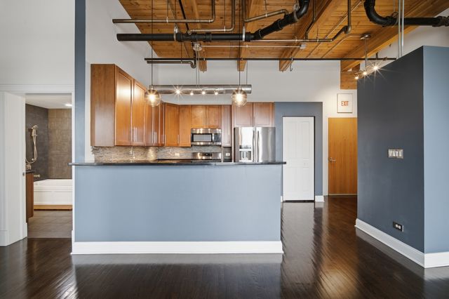 1610 S Halsted Street 408, Chicago, IL 60608