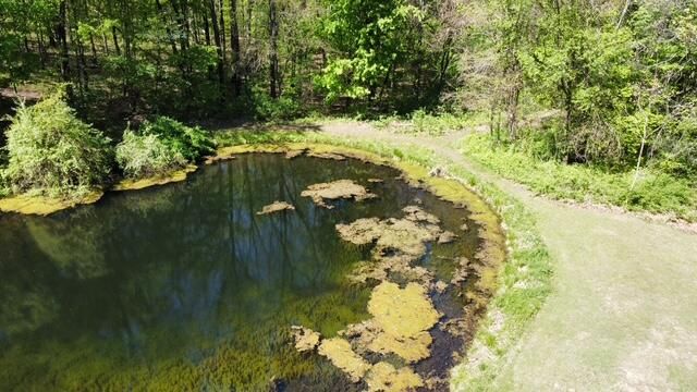4115 S Van Kal Street, Oshtemo Twp, MI 49071