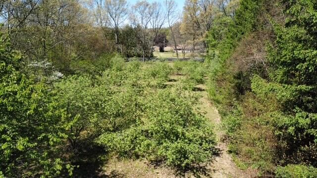 4115 S Van Kal Street, Oshtemo Twp, MI 49071