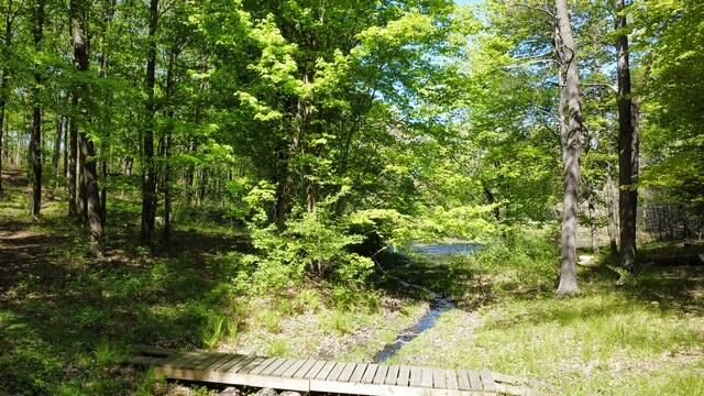 4115 S Van Kal Street, Oshtemo Twp, MI 49071