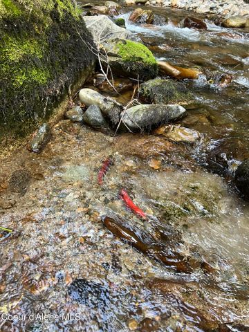 900 Trestle Creek RD, Hope, ID 83836